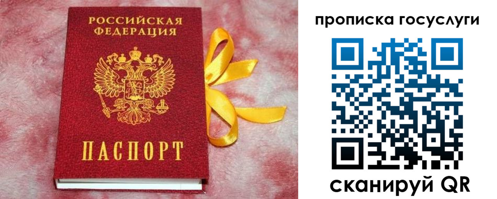 регистрация в Боровичах